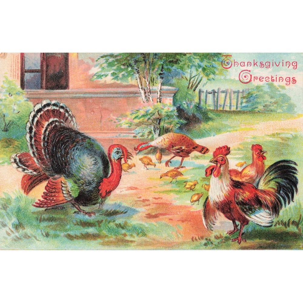 Thanksgiving Greetings Postcard Turkey Rooster Farmyard Embossed 1907 Germany